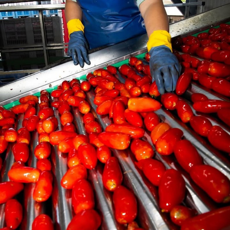 Pomidory San Marzano BIO Nolano Pelati z bazylią w słoiku 550g